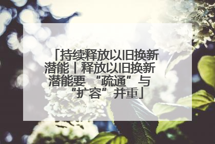 持续释放以旧换新潜能丨释放以旧换新潜能要 “疏通”与“扩容”并重