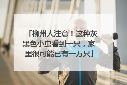 柳州人注意！这种灰黑色小虫看到一只，家里很可能已有一万只