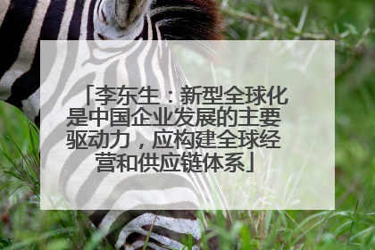 李东生：新型全球化是中国企业发展的主要驱动力，应构建全球经营和供应链体系