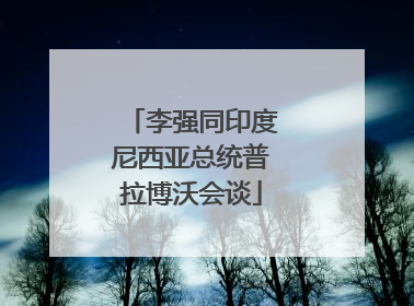 李强同印度尼西亚总统普拉博沃会谈