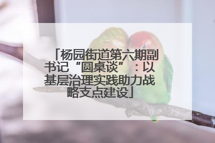 杨园街道第六期副书记“圆桌谈”：以基层治理实践助力战略支点建设