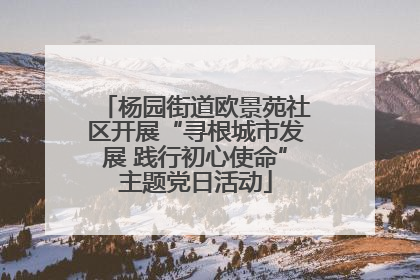 杨园街道欧景苑社区开展“寻根城市发展 践行初心使命”主题党日活动