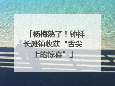 杨梅熟了！钟祥长滩镇收获“舌尖上的惊喜”