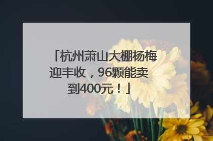杭州萧山大棚杨梅迎丰收，96颗能卖到400元！