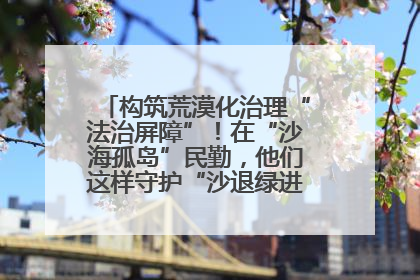 构筑荒漠化治理“法治屏障”！在“沙海孤岛”民勤，他们这样守护“沙退绿进”的生态奇迹