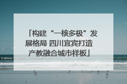 构建“一核多极”发展格局 四川宜宾打造产教融合城市样板