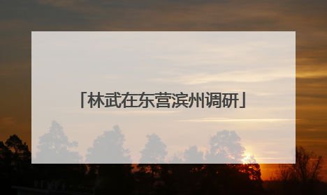 林武在东营滨州调研