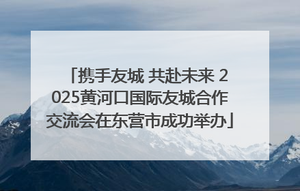 携手友城 共赴未来 2025黄河口国际友城合作交流会在东营市成功举办