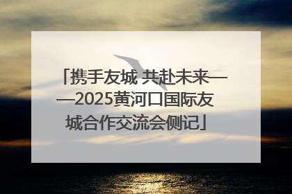 携手友城 共赴未来——2025黄河口国际友城合作交流会侧记