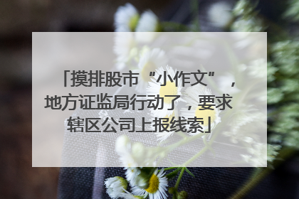 摸排股市“小作文”，地方证监局行动了，要求辖区公司上报线索