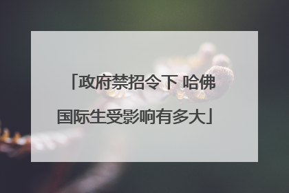 政府禁招令下 哈佛国际生受影响有多大
