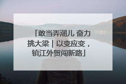 敢当弄潮儿 奋力挑大梁｜以变应变，镇江外贸闯新路
