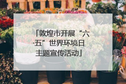敦煌市开展“六·五”世界环境日主题宣传活动