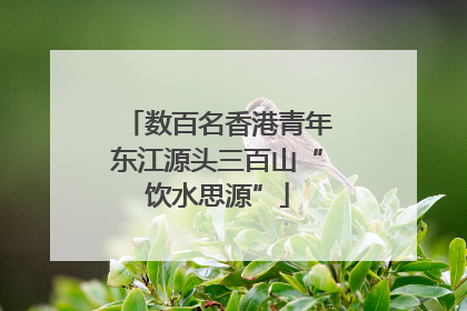 数百名香港青年东江源头三百山“饮水思源”
