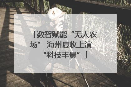 数智赋能“无人农场” 海州夏收上演“科技丰景”