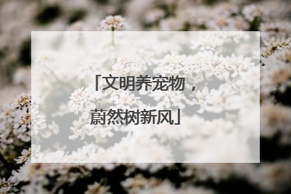文明养宠物，蔚然树新风