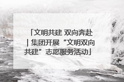 文明共建 双向奔赴｜集团开展“文明双向共建”志愿服务活动