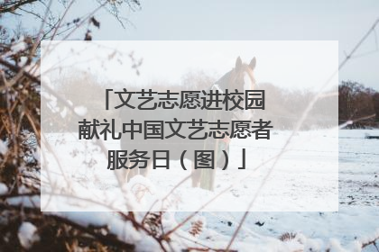 文艺志愿进校园 献礼中国文艺志愿者服务日（图）