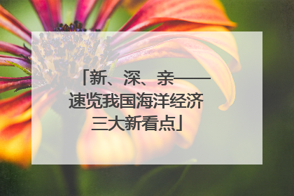 新、深、亲——速览我国海洋经济三大新看点