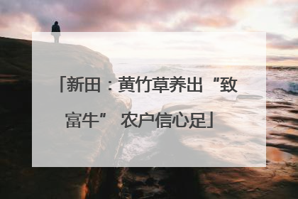 新田：黄竹草养出“致富牛” 农户信心足
