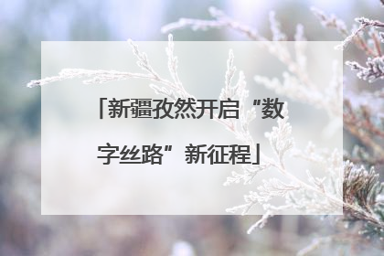 新疆孜然开启“数字丝路”新征程