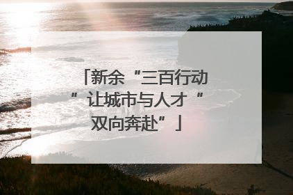 新余“三百行动”让城市与人才“双向奔赴”