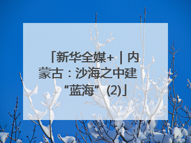 新华全媒+｜内蒙古：沙海之中建“蓝海”(2)