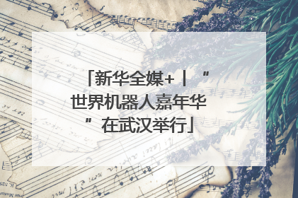 新华全媒+丨“世界机器人嘉年华”在武汉举行