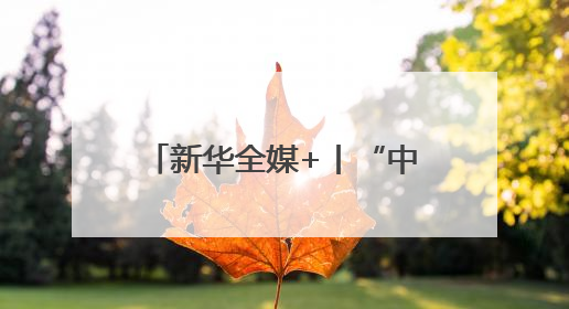 新华全媒+丨“中原粮仓”麦收过半