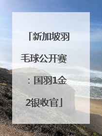 新加坡羽毛球公开赛：国羽1金2银收官