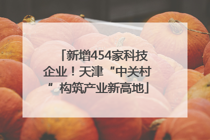 新增454家科技企业！天津“中关村”构筑产业新高地