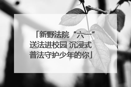 新野法院“六一”送法进校园 沉浸式普法守护少年的你