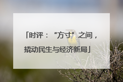 时评：“方寸”之间，撬动民生与经济新局
