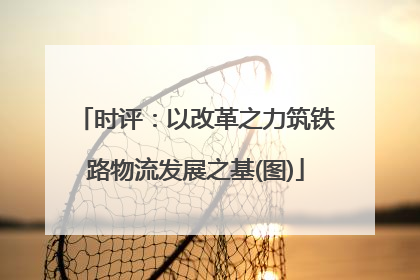 时评：以改革之力筑铁路物流发展之基(图)