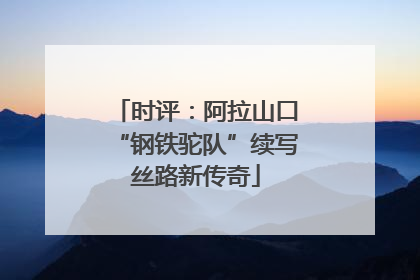 时评：阿拉山口“钢铁驼队”续写丝路新传奇