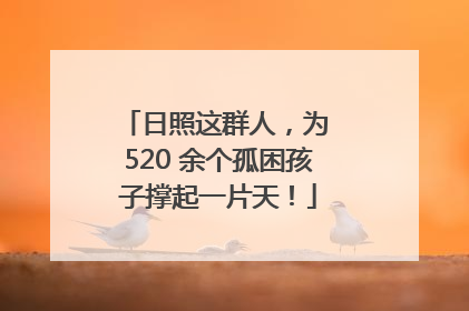 日照这群人，为 520 余个孤困孩子撑起一片天！