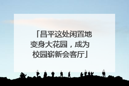 昌平这处闲置地变身大花园，成为校园崭新会客厅