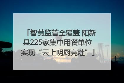 智慧监管全覆盖 阳新县225家集中用餐单位实现“云上明厨亮灶”