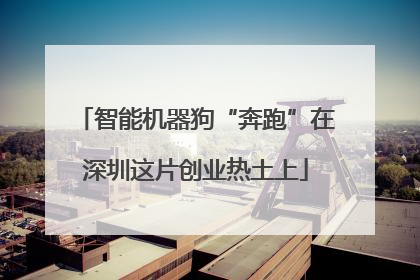 智能机器狗“奔跑”在深圳这片创业热土上