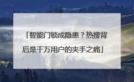 智能门锁成隐患？热搜背后是千万用户的夹手之痛