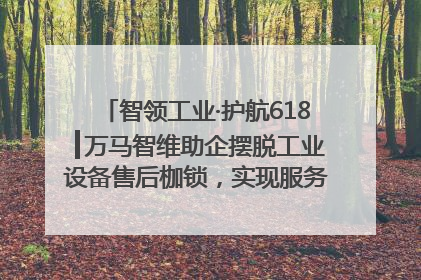 智领工业·护航618┃万马智维助企摆脱工业设备售后枷锁，实现服务与效能价值共振！