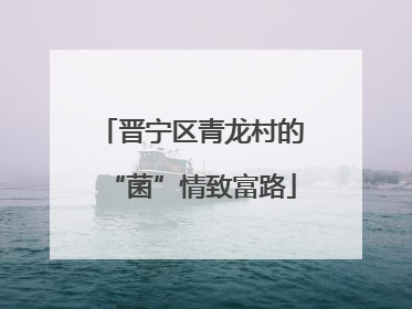 晋宁区青龙村的“菌”情致富路