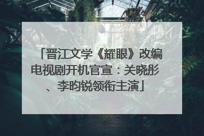 晋江文学《耀眼》改编电视剧开机官宣：关晓彤、李昀锐领衔主演