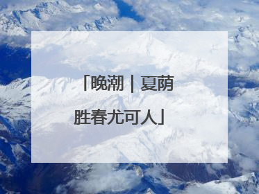 晚潮｜夏荫胜春尤可人