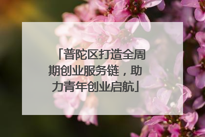 普陀区打造全周期创业服务链，助力青年创业启航