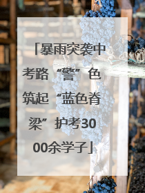 暴雨突袭中考路“警”色筑起“蓝色脊梁”护考3000余学子