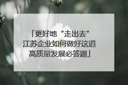 更好地“走出去” 江苏企业如何做好这道高质量发展必答题