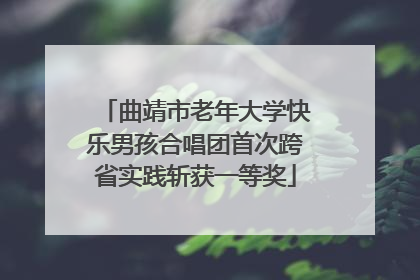 曲靖市老年大学快乐男孩合唱团首次跨省实践斩获一等奖