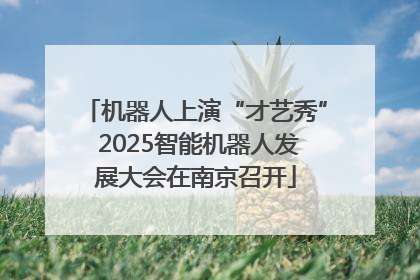 机器人上演“才艺秀” 2025智能机器人发展大会在南京召开