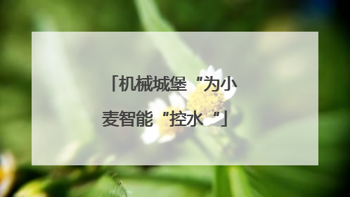 机械城堡“为小麦智能“控水“